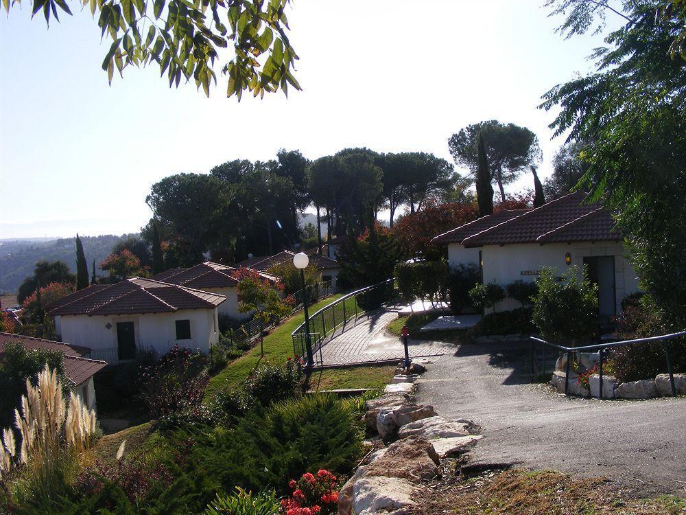 Hills * Shoresh