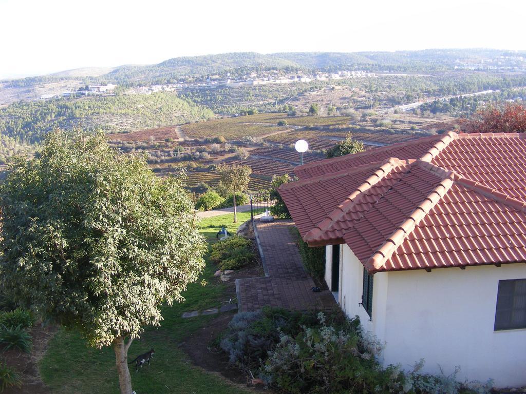 Lodge Hills *